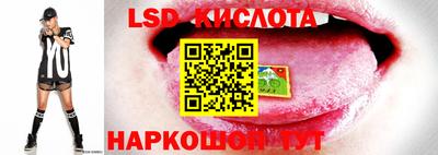 mdpv Малгобек