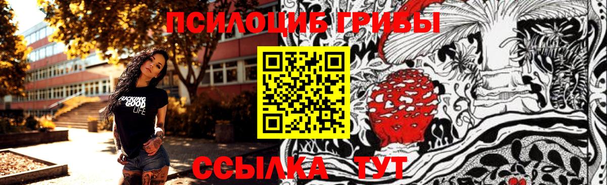 Галлюциногенные грибы GOLDEN TEACHER  закладка  Добрянка  Вход с VPN 
